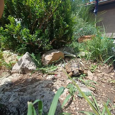 شقة Anisija Garden *