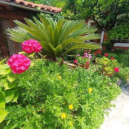 Anisija Garden Apartment Dubrovnik