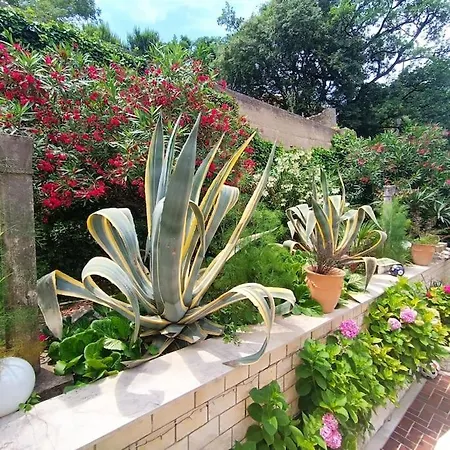 Anisija Garden Apartment