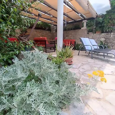 Anisija Garden *